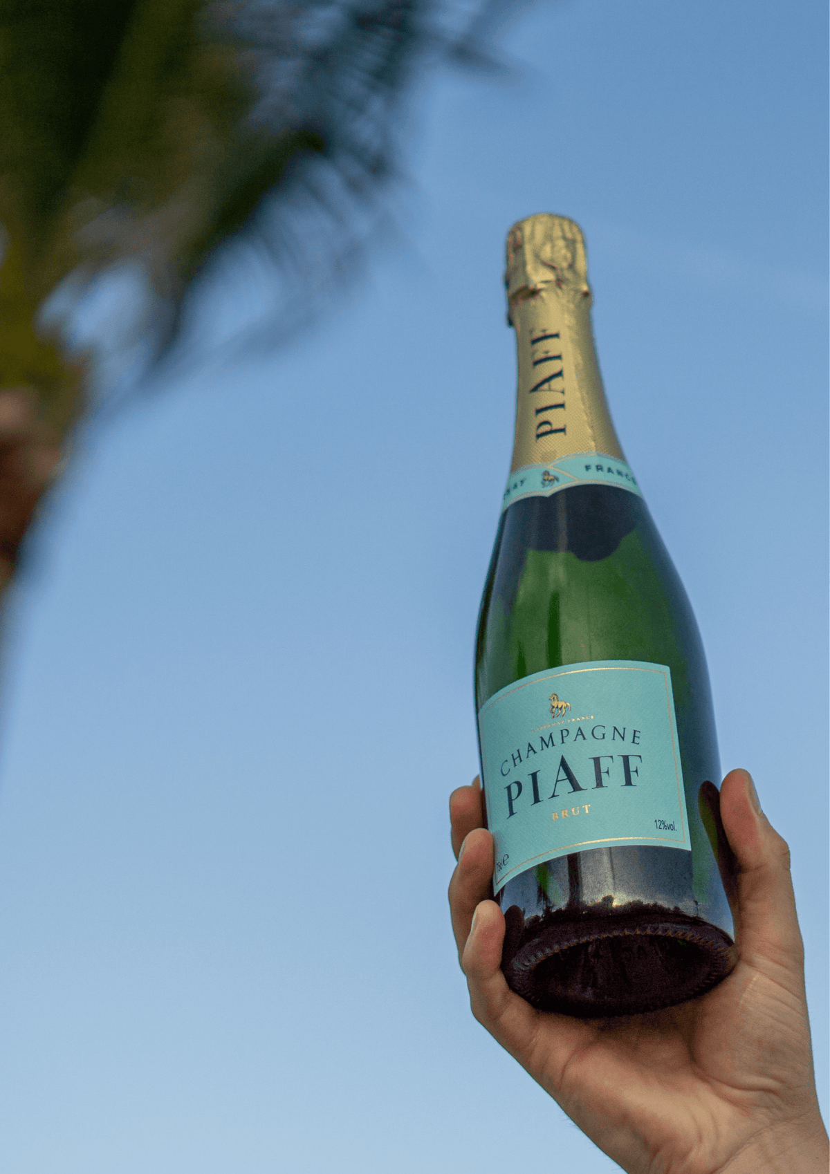 Brut - Champagne PIAFF France