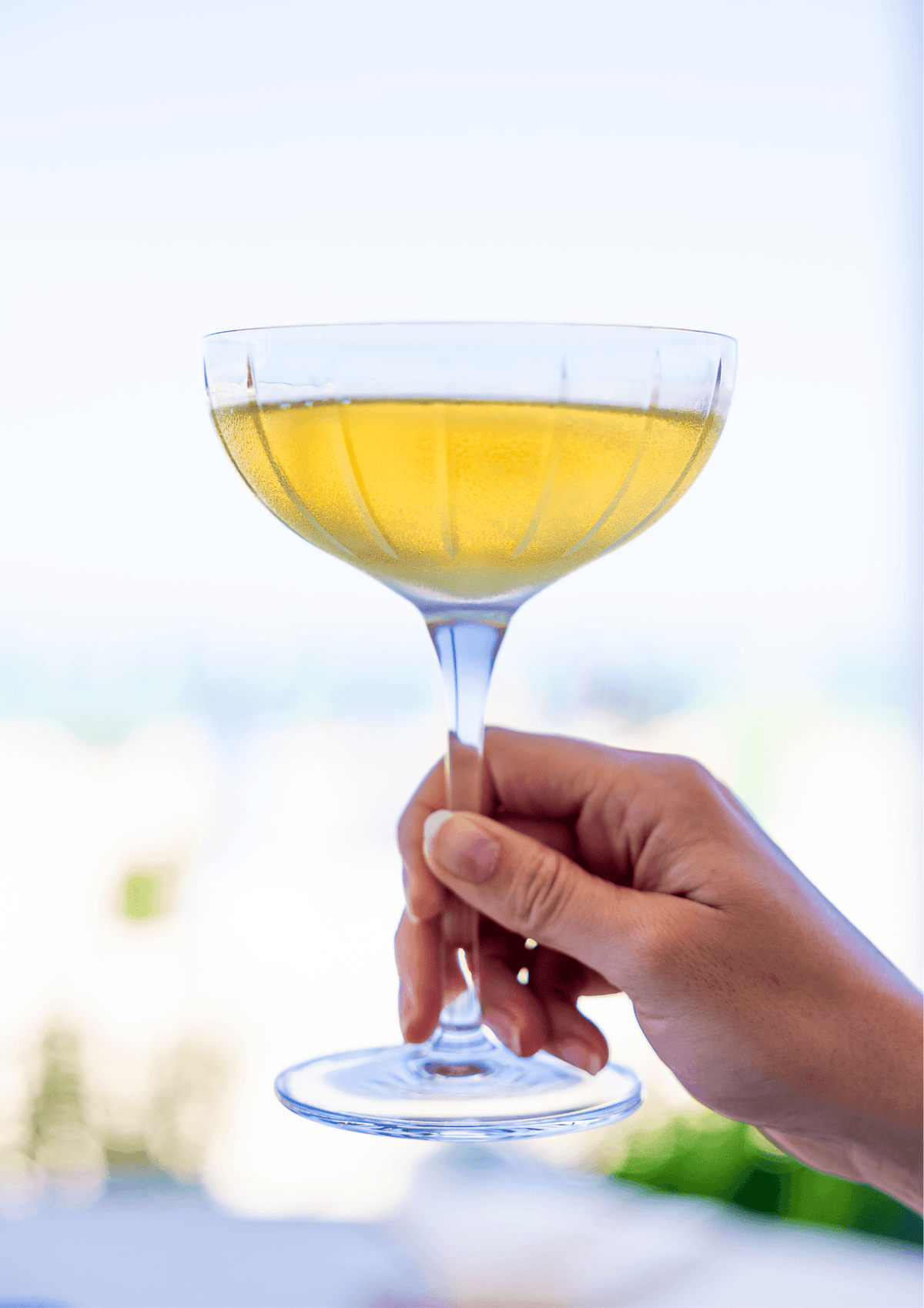 Blanc de Blancs - Champagne PIAFF France